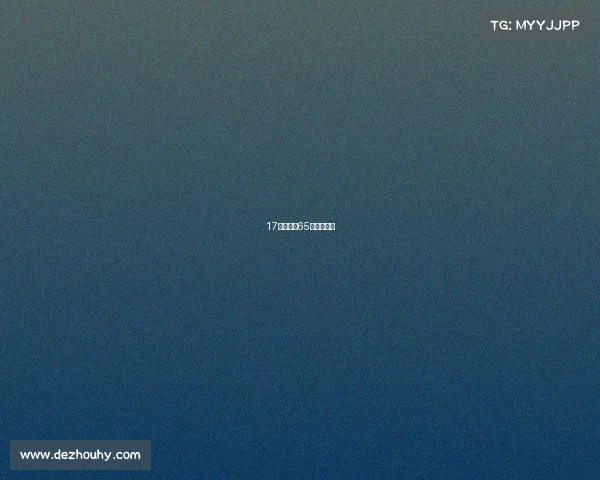 17年昆仑决65公斤级冠军